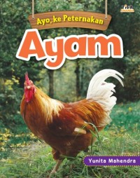 Ayam